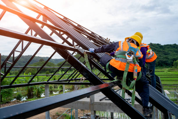 Best Metal Roofing Contractor  in Rosemount, MN